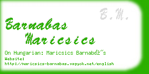 barnabas maricsics business card